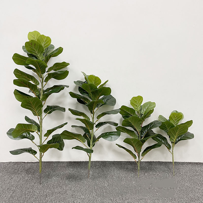 59in grande albero di Ficus pi - Home Office Layout recensione e prezzo