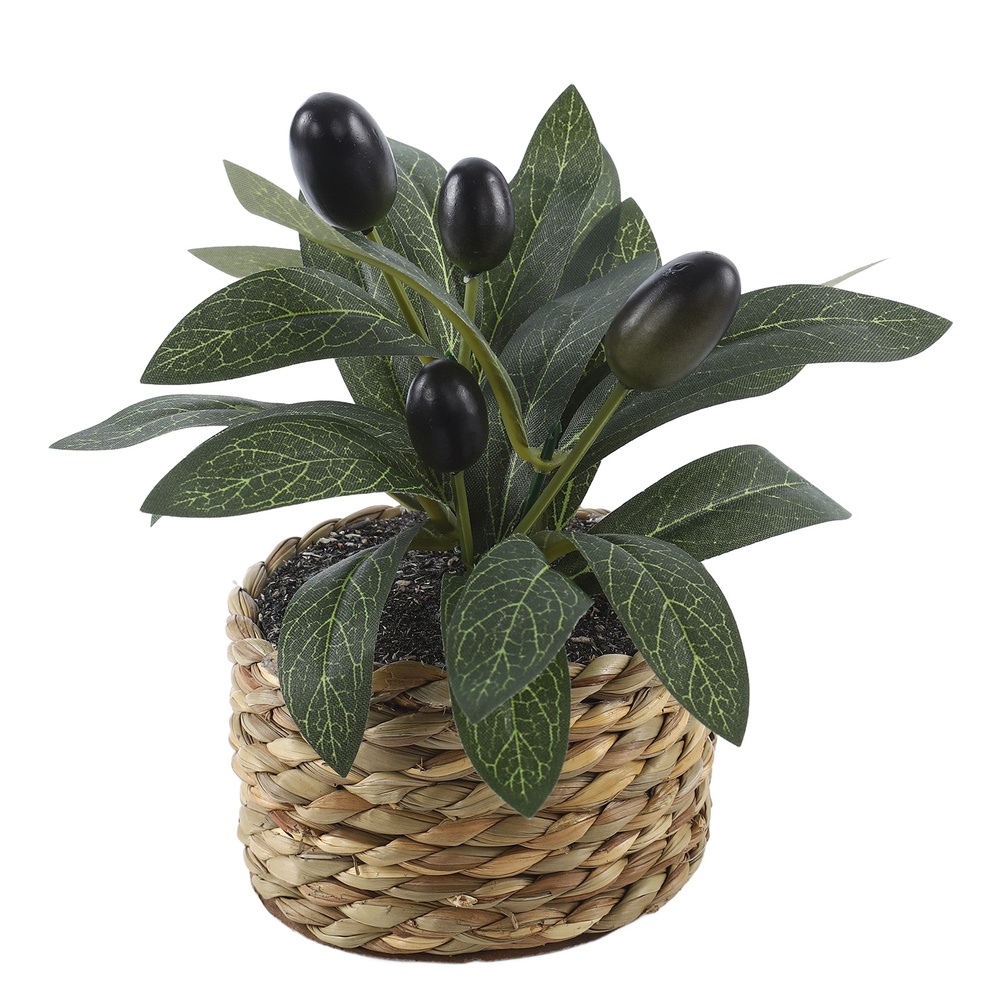 Piante Artificiali, Albero di  - Home Office Layout recensione e prezzo