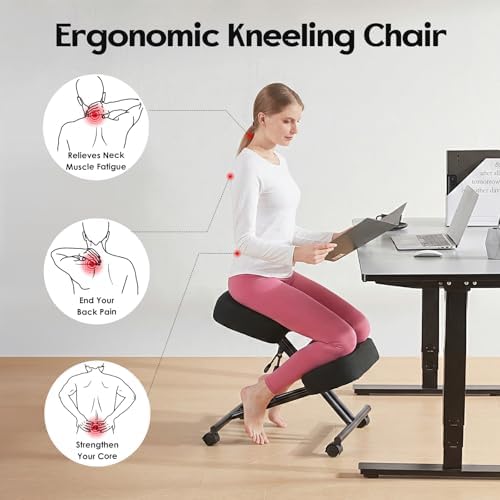 Sedia ergonomica in lino, idea - Ergonomic Office Chair recensione e prezzo